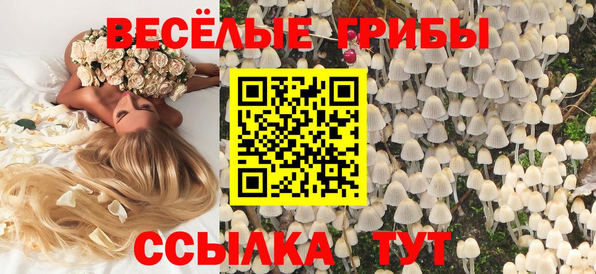 Псилоцибиновые грибы мухоморы  Вход с VPN  Ялуторовск  Псилоцибиновые грибы Psilocybine cubensis 